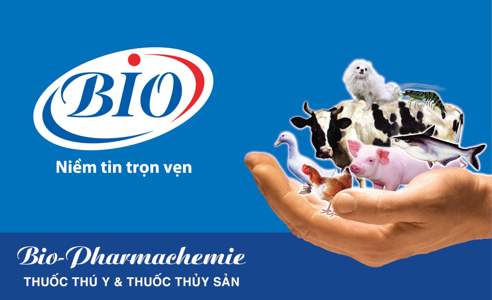 CẢNH BÁO VIỆC NHẬN DIỆN WEBSITE VÀ  FANPAGE BIO-PHARMACHEMIE