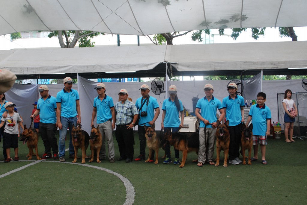 HỘI CHỢ DOG SHOW TẠI SÂN VẬN ĐỘNG PHÚ THỌ 3-4/10/2015