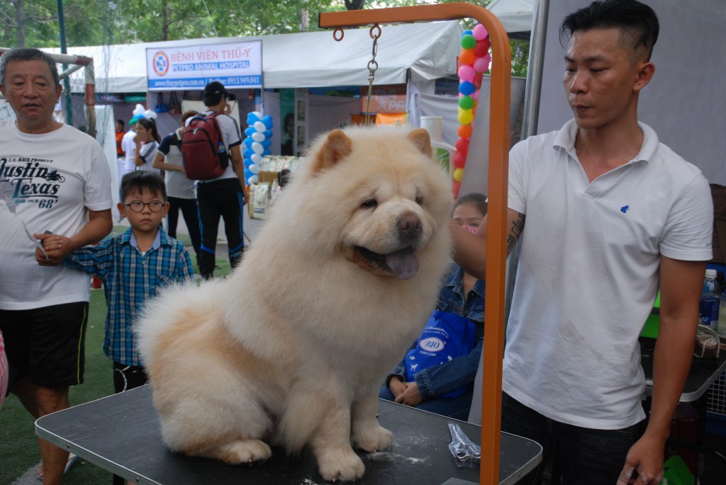 HỘI CHỢ DOG SHOW TẠI SÂN VẬN ĐỘNG PHÚ THỌ 3-4/10/2015