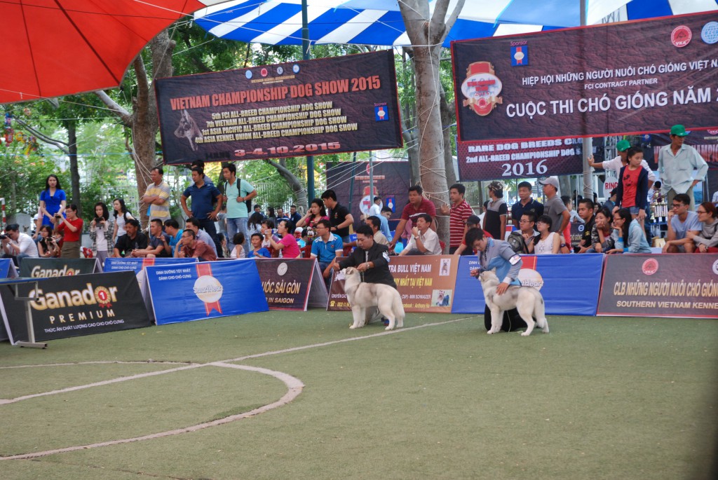 HỘI CHỢ DOG SHOW TẠI SÂN VẬN ĐỘNG PHÚ THỌ 3-4/10/2015