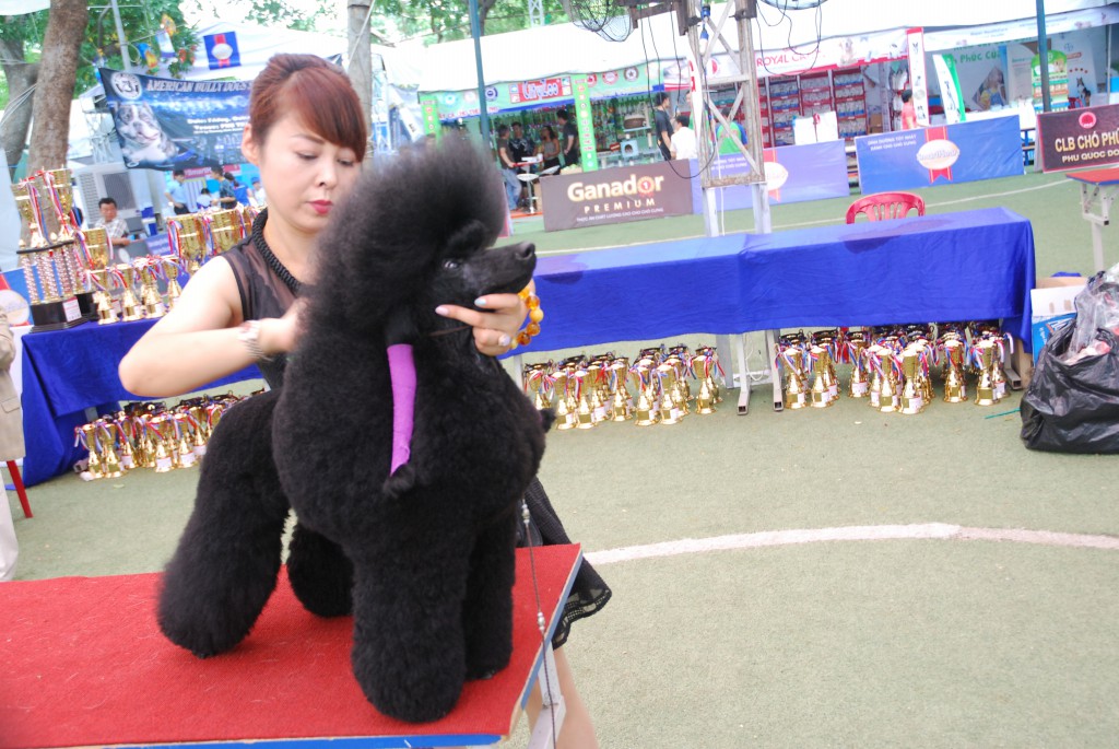 HỘI CHỢ DOG SHOW TẠI SÂN VẬN ĐỘNG PHÚ THỌ 3-4/10/2015