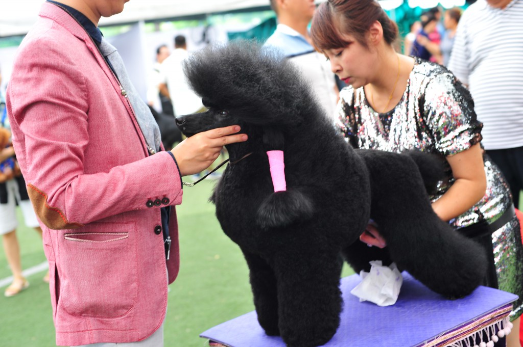 HỘI CHỢ DOG SHOW TẠI SÂN VẬN ĐỘNG PHÚ THỌ 3-4/10/2015