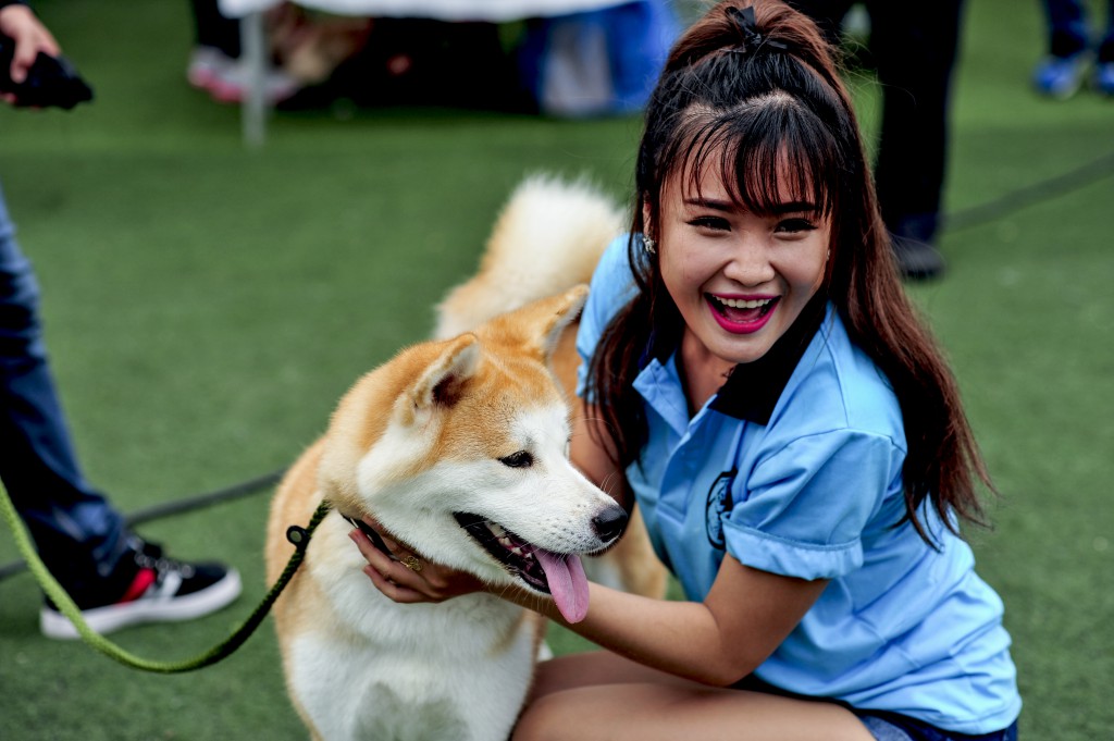 HỘI CHỢ DOG SHOW TẠI SÂN VẬN ĐỘNG PHÚ THỌ 3-4/10/2015