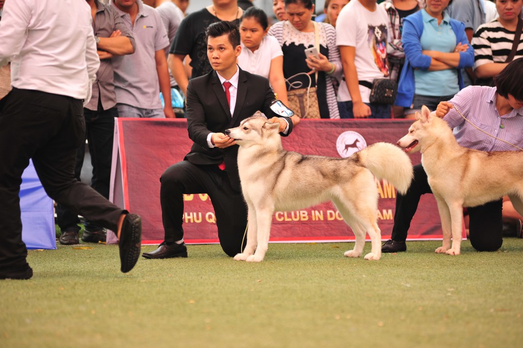 HỘI CHỢ DOG SHOW TẠI SÂN VẬN ĐỘNG PHÚ THỌ 3-4/10/2015