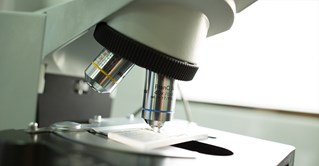 Tầm nhìn & Sứ mệnh